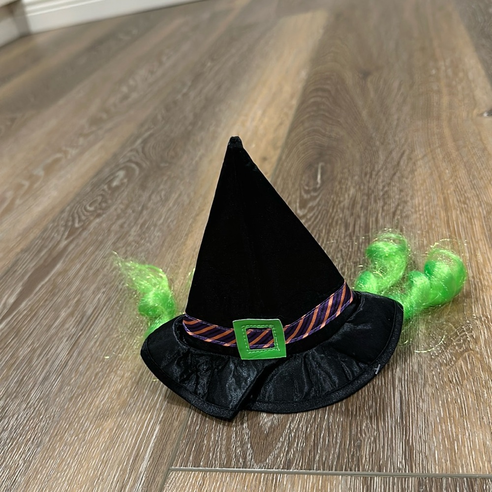 Witch Hat for cat